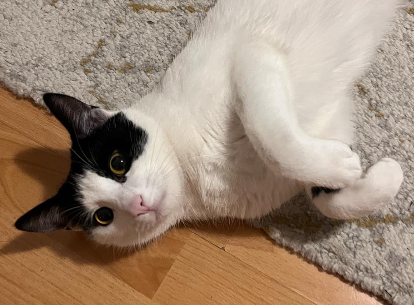 Imagine suplimentară