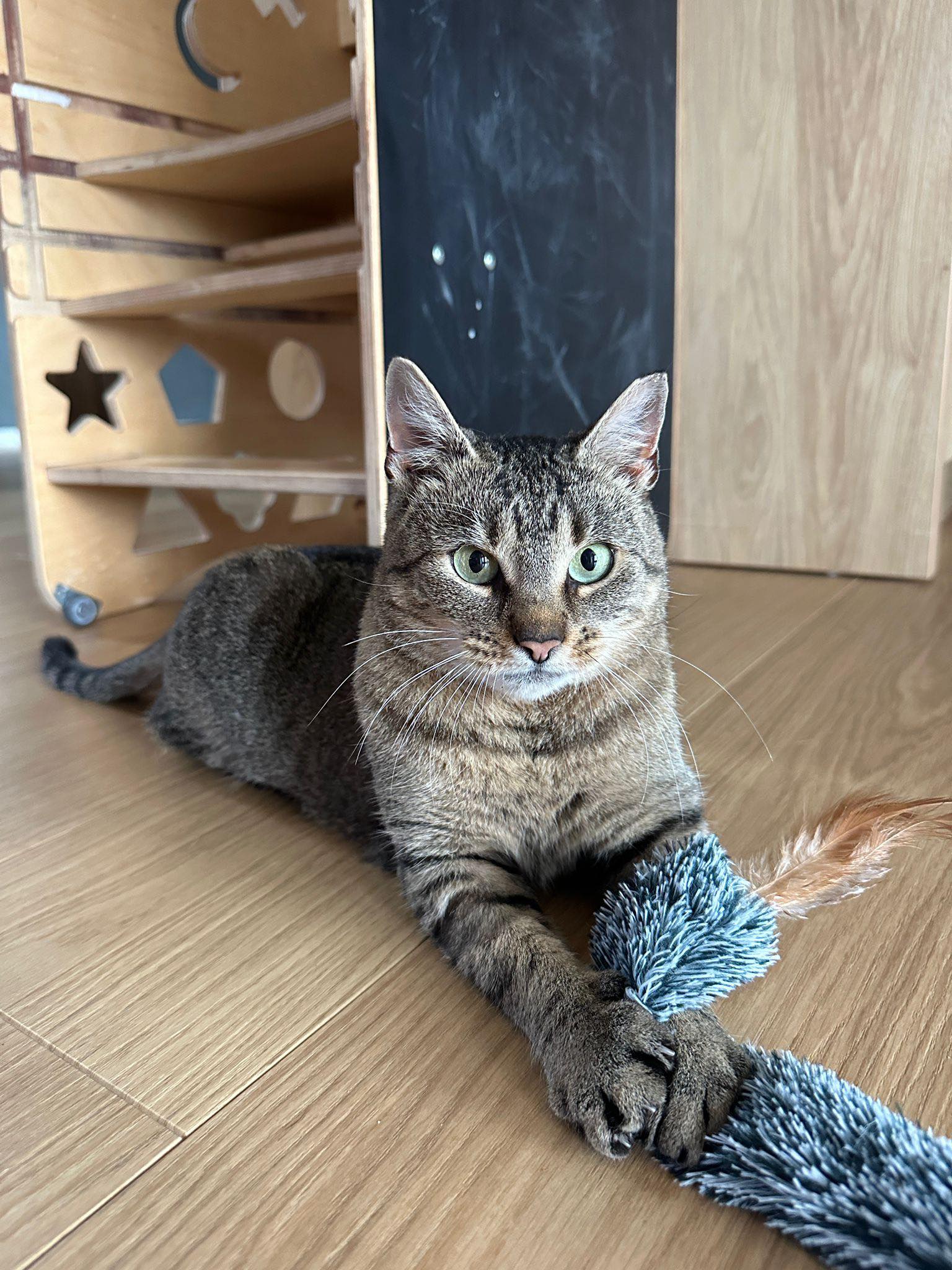 Imagine suplimentară